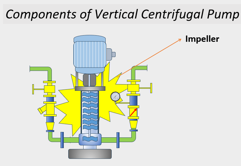 Components of Vertical Centrifugal Pump impeller 