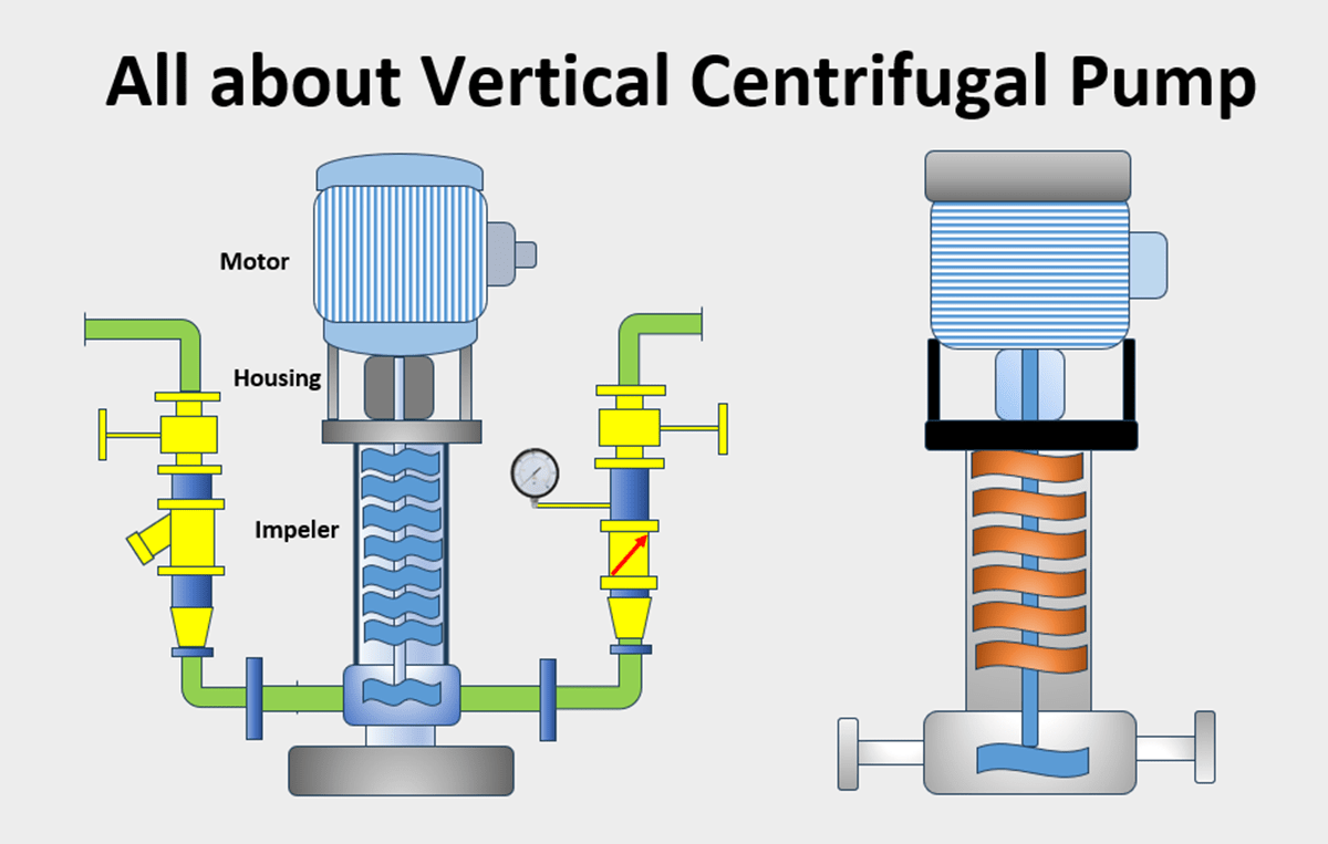 Vertical Centrifugal Pump Working